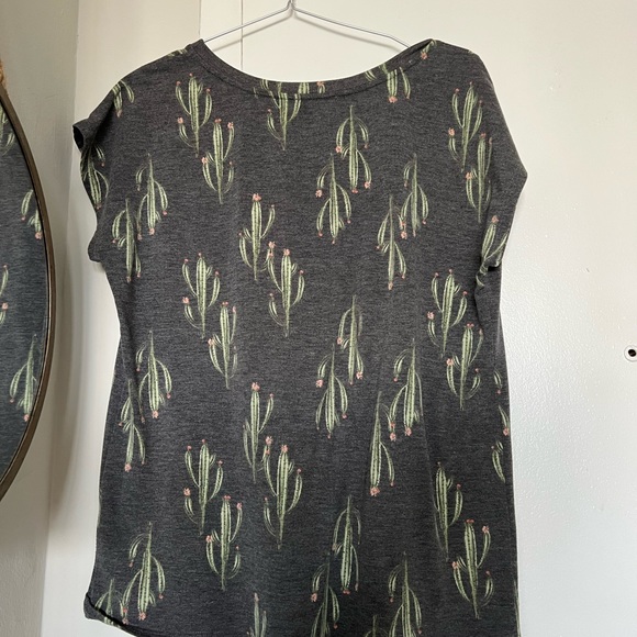 PLEIONE top cactus - Picture 4 of 4